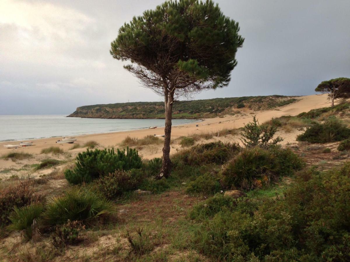 Casita De Bolonia Villa Eksteriør billede